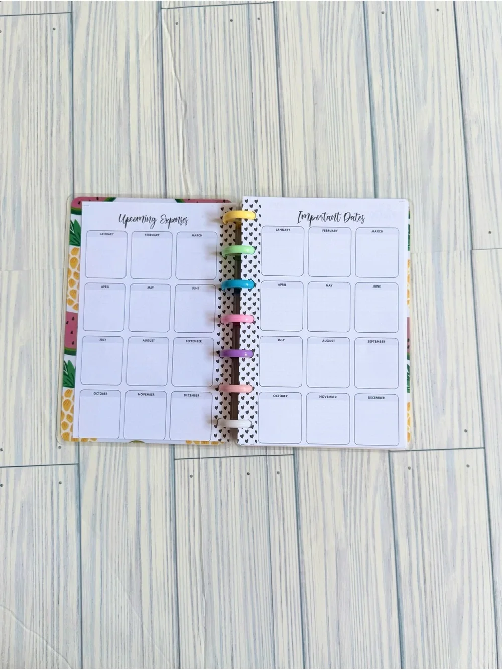 Mini Happy planner size undated tropical Girl plants fruits